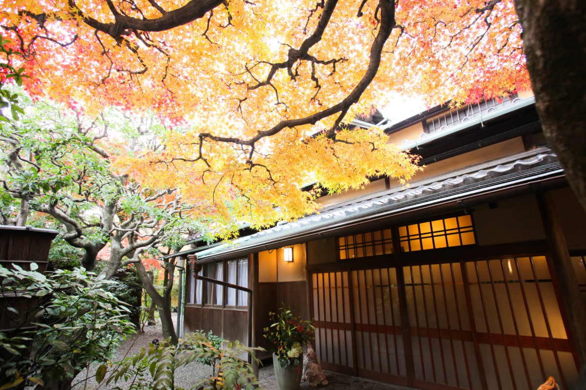 季節の変わり目と狙い目🍂