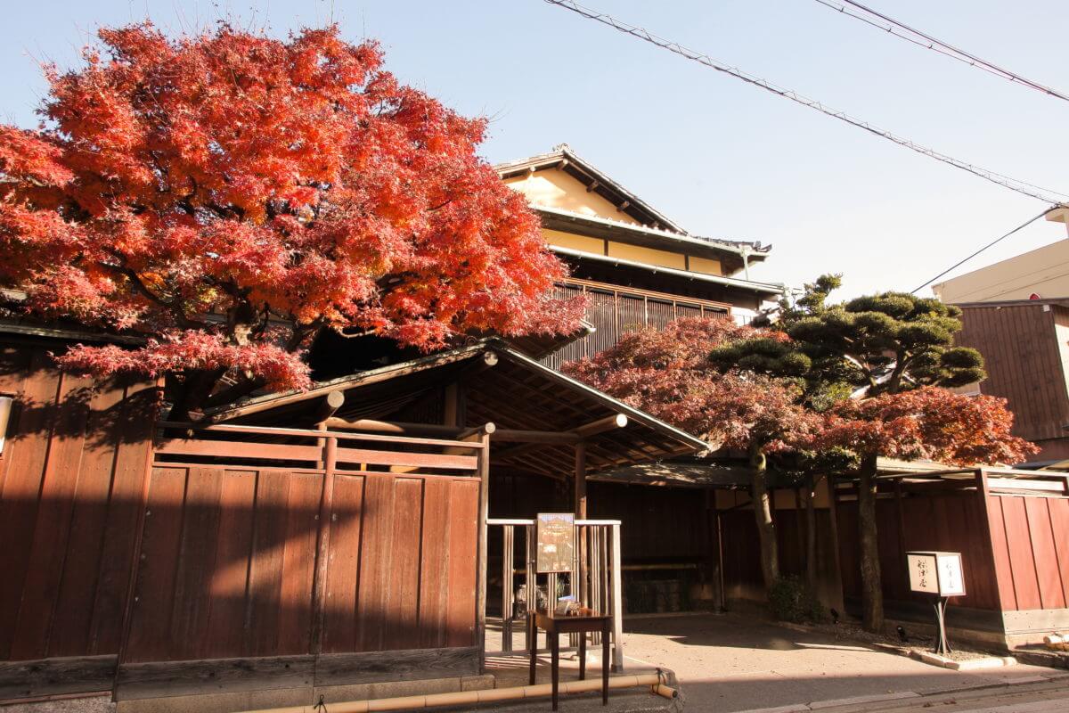 ザ　フナツヤ（紅葉の時期）