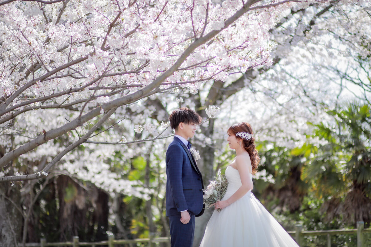 桜の満開はいつ！？