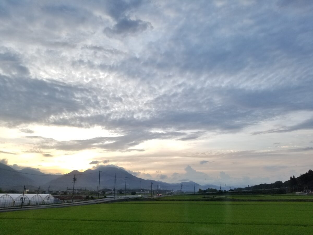 これが本当の流しそうめん。