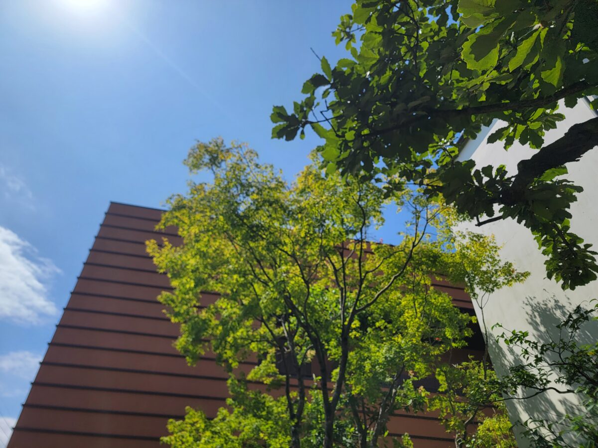 平日のご結婚式