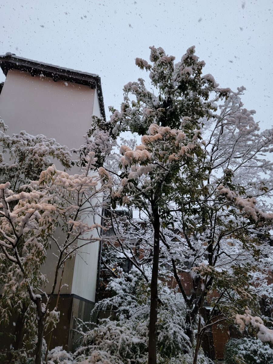 雪が積もりに積もって