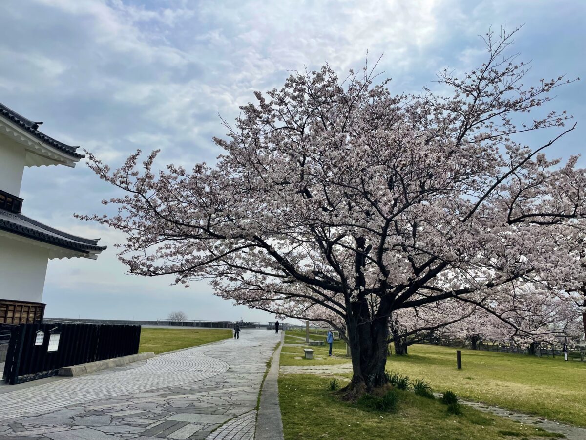 もうすぐ…♪