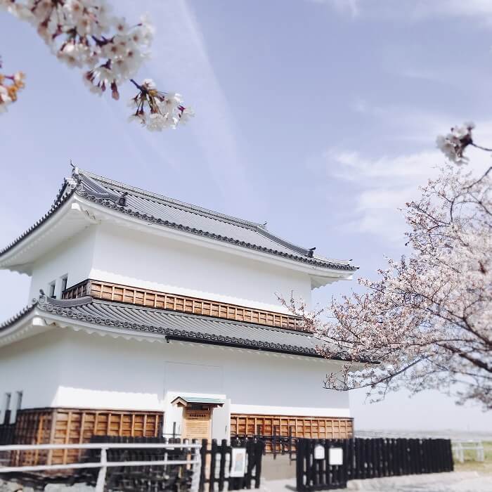 桜の季節