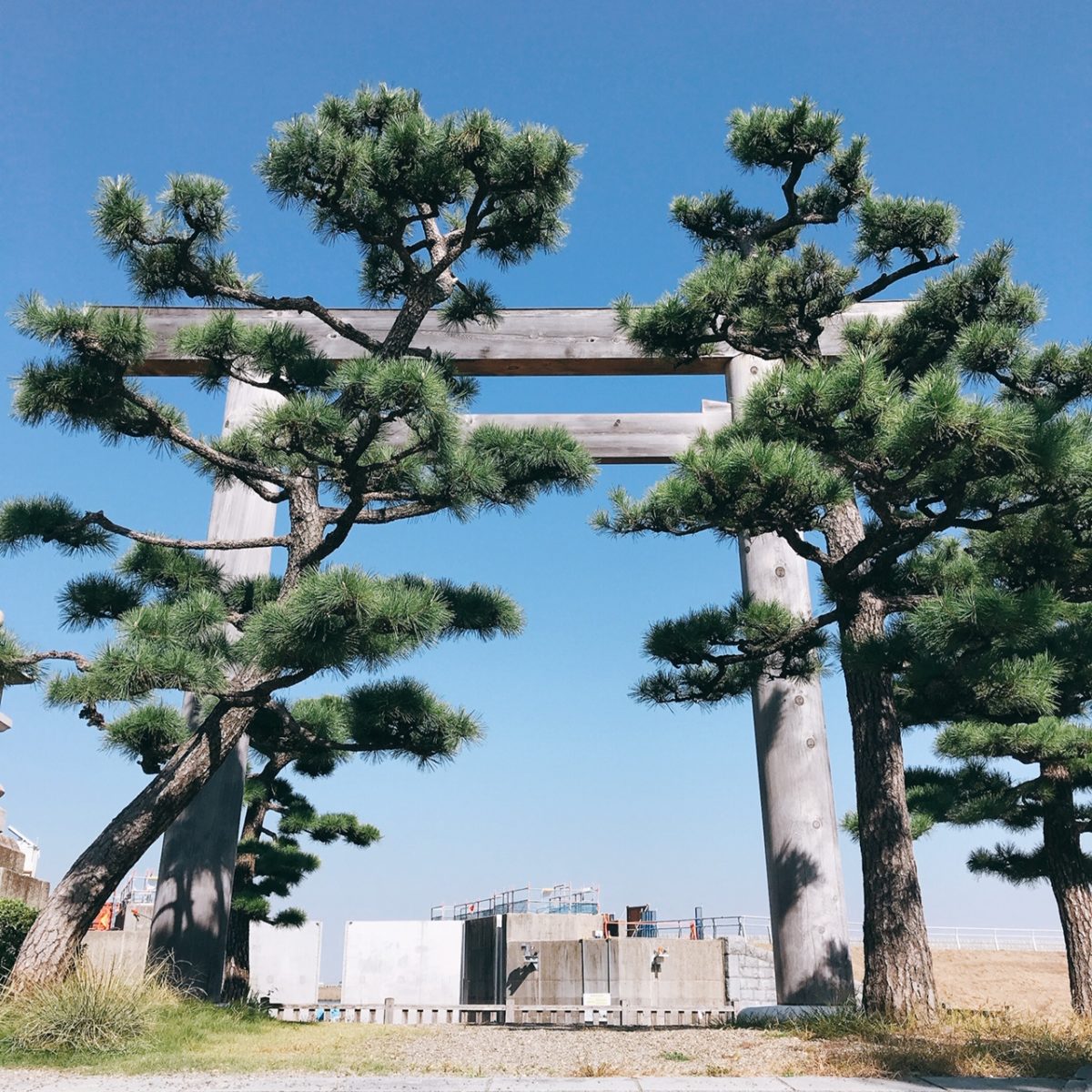 ランチの後に散歩はいかがですか